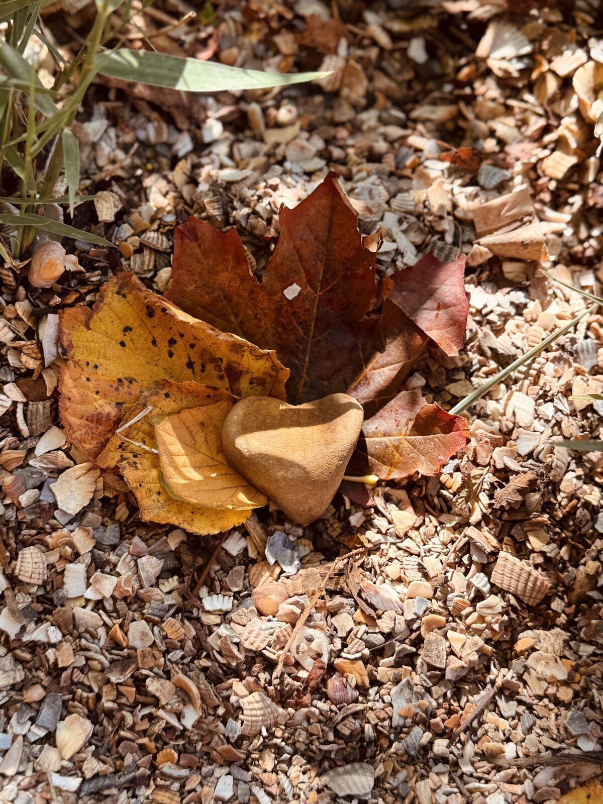 A space of meditation and grounding during the ancestral roots workshop